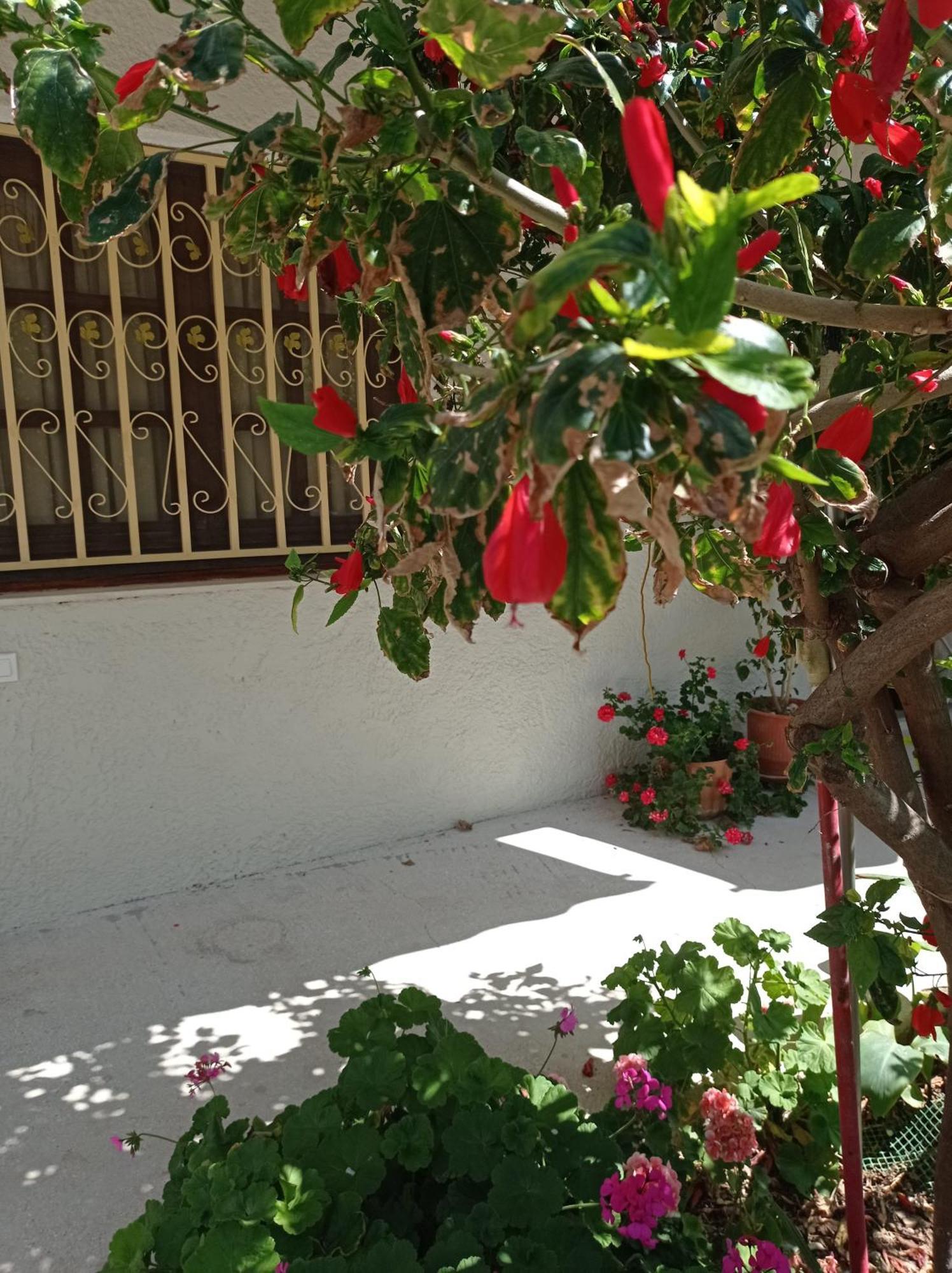 Tasos Seagull Apartments Hanya Dış mekan fotoğraf